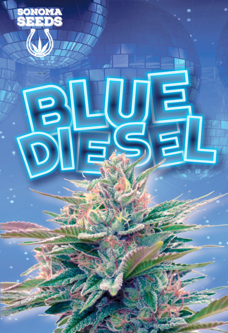 Blue Diesel Strain