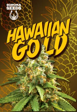hawaiian gold seeds