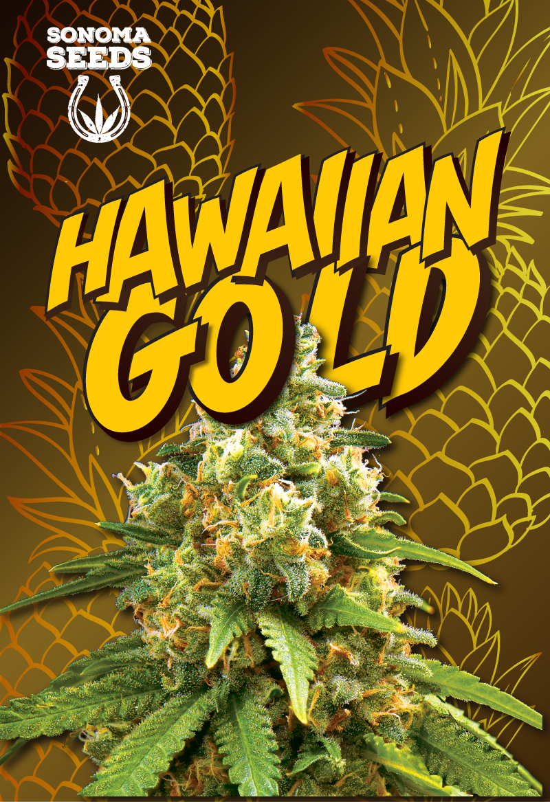 hawaiian gold seeds