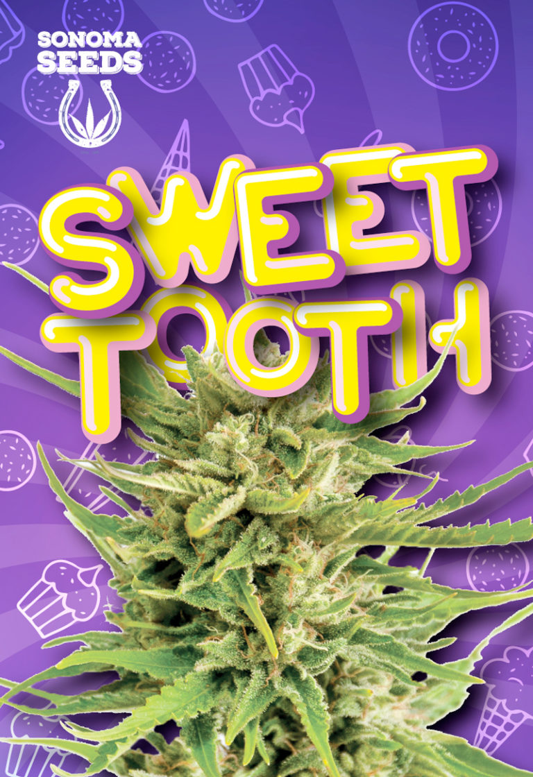 sonoma sweet tooth seeds