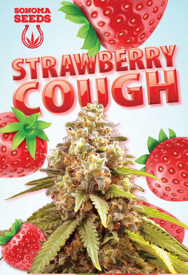 strawberry cough seeds