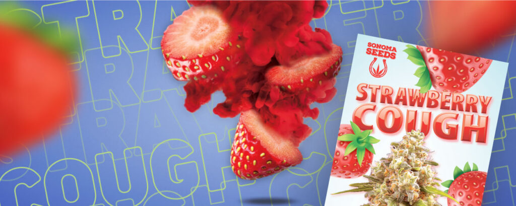 strawberry cough release date