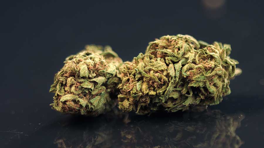 5 Types of Sativa Kush Uses and Effects