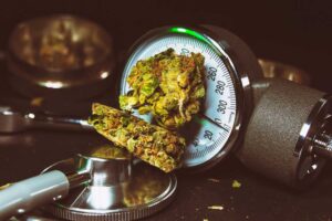 Choosing the Best Strain for Hypertension Treatment