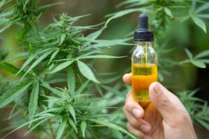 Make CBD oil