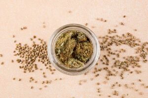 Top 5 List of Pure Landrace Indica Strains