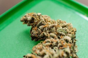 Which Strain Can Aid Your Back Pain