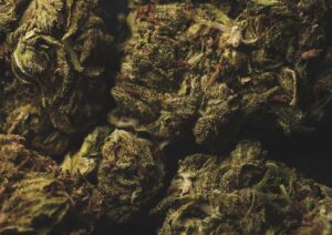 Sativa or Indica for ADHD