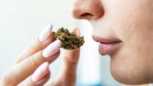 Which Strain Relieves Nausea Better