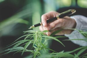 Which Strain has Medicinal Efficacy in Parkinson's Disease