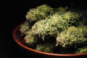 Why Does Cannabis Age