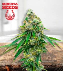 Critical mass min 1