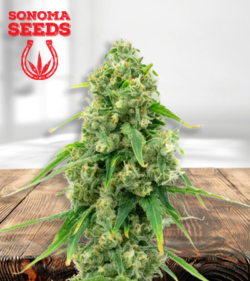 Wedding Cake 450