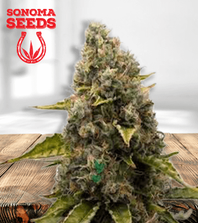 strawberry kush removebg preview 1