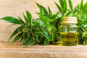 How-CBD-Oil-Can-Benefits-Senior-Citizens