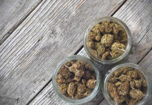 Best-Way-to-Store-Weed-So-It-Lasts
