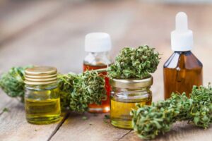 Cannabis-Oil-VS-CBD-Oil