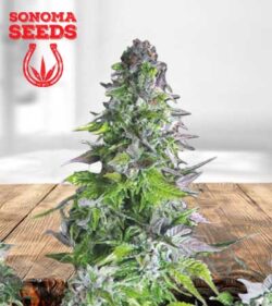 Romulan Strain