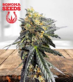 Garananimals Strains