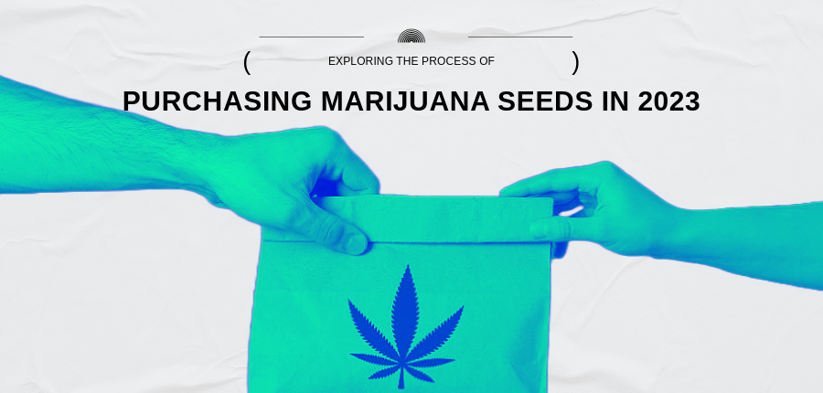 buy marijuana seeds