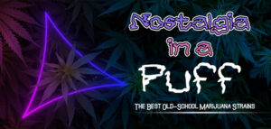 The-Best-Old-School-Marijuana-Strains