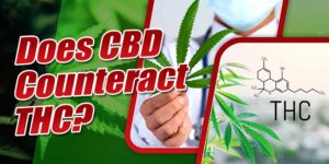 Does CBD Counteract THC