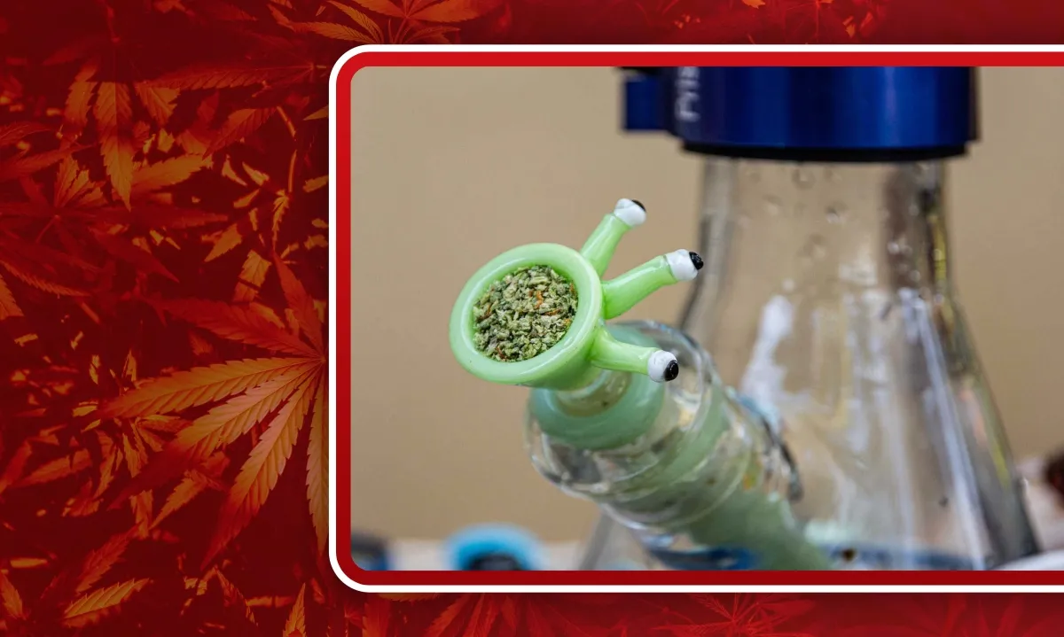 Does Bong Water Get You High? Sonoma Seeds