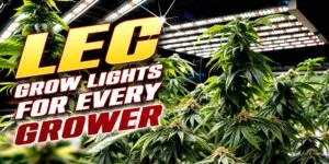 LEC Grow Lights
