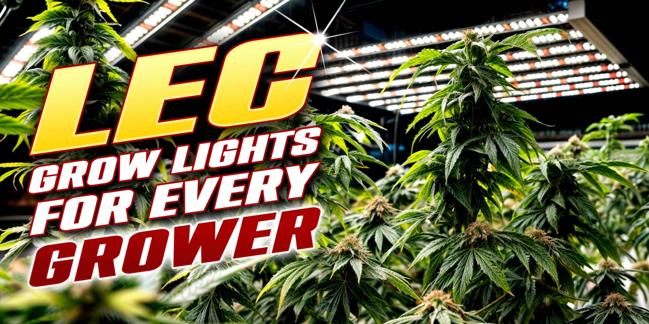 LEC Grow Lights