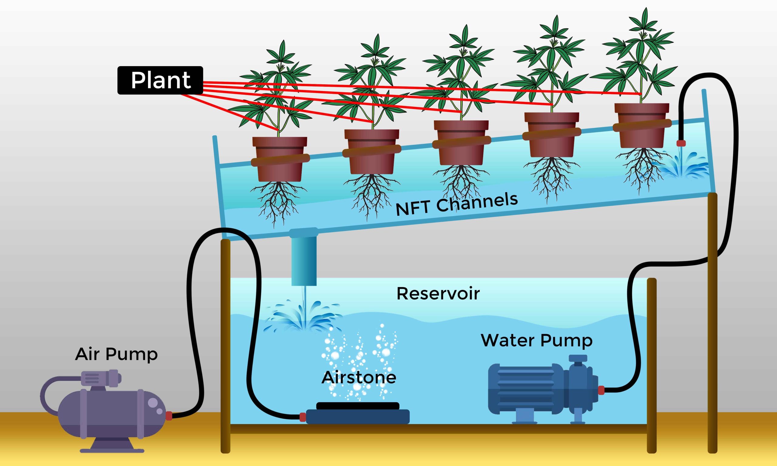nft for cannabis