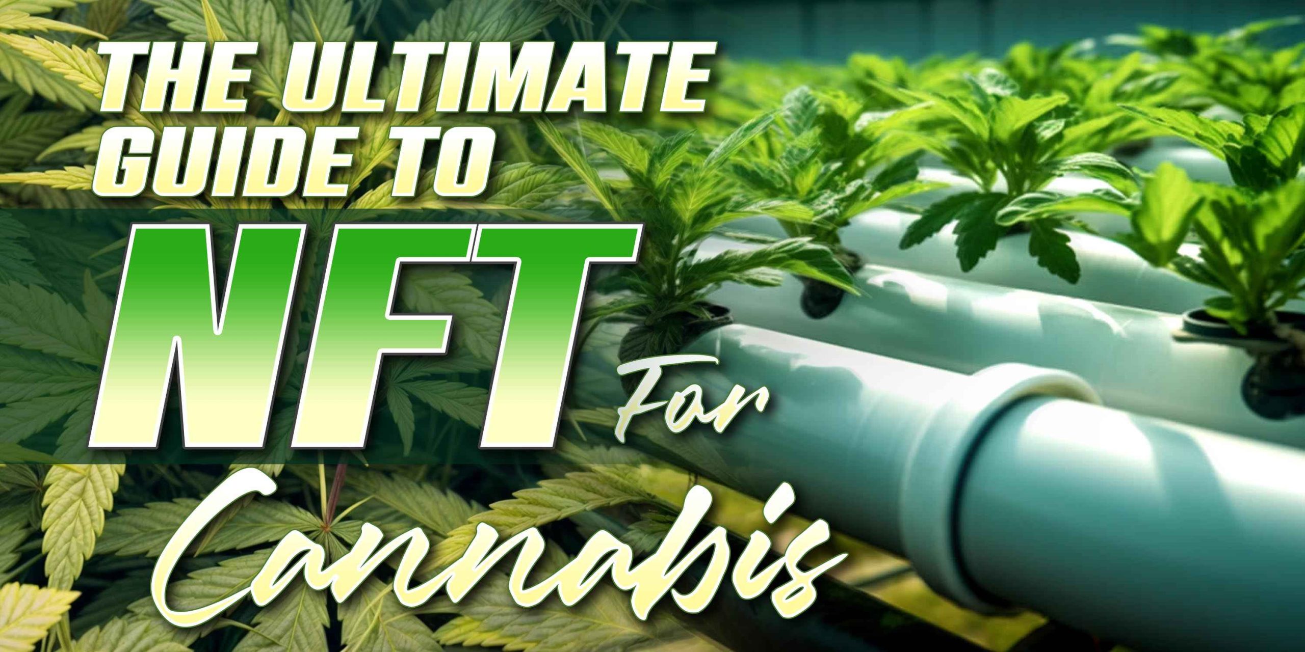 NFT For Cannabis