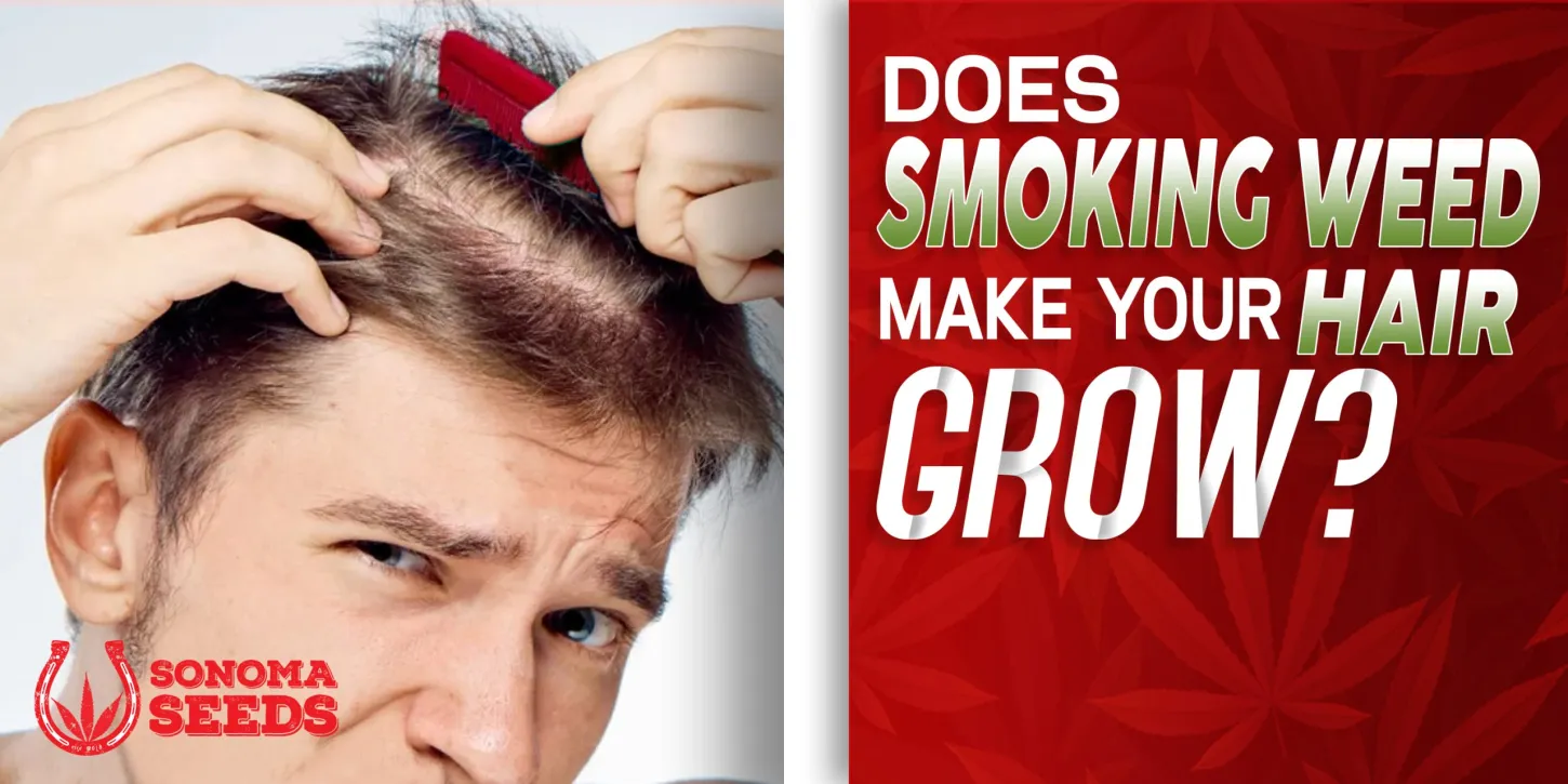 Does Smoking Weed Make Your Hair Grow
