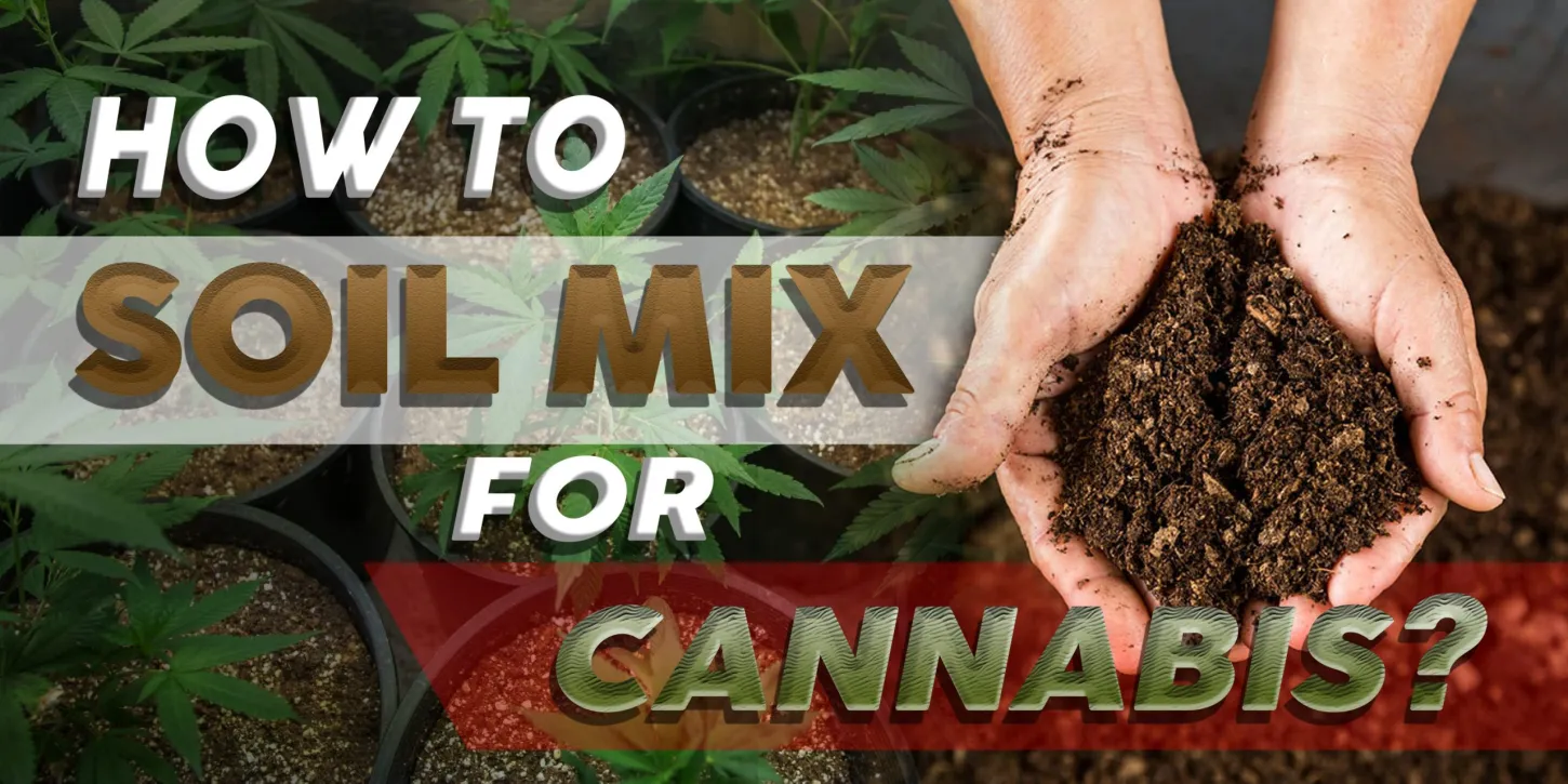 How to Soil Mix For Cannabis
