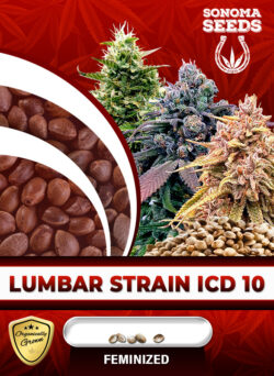 Lumbar Strain ICD 10 Feminized