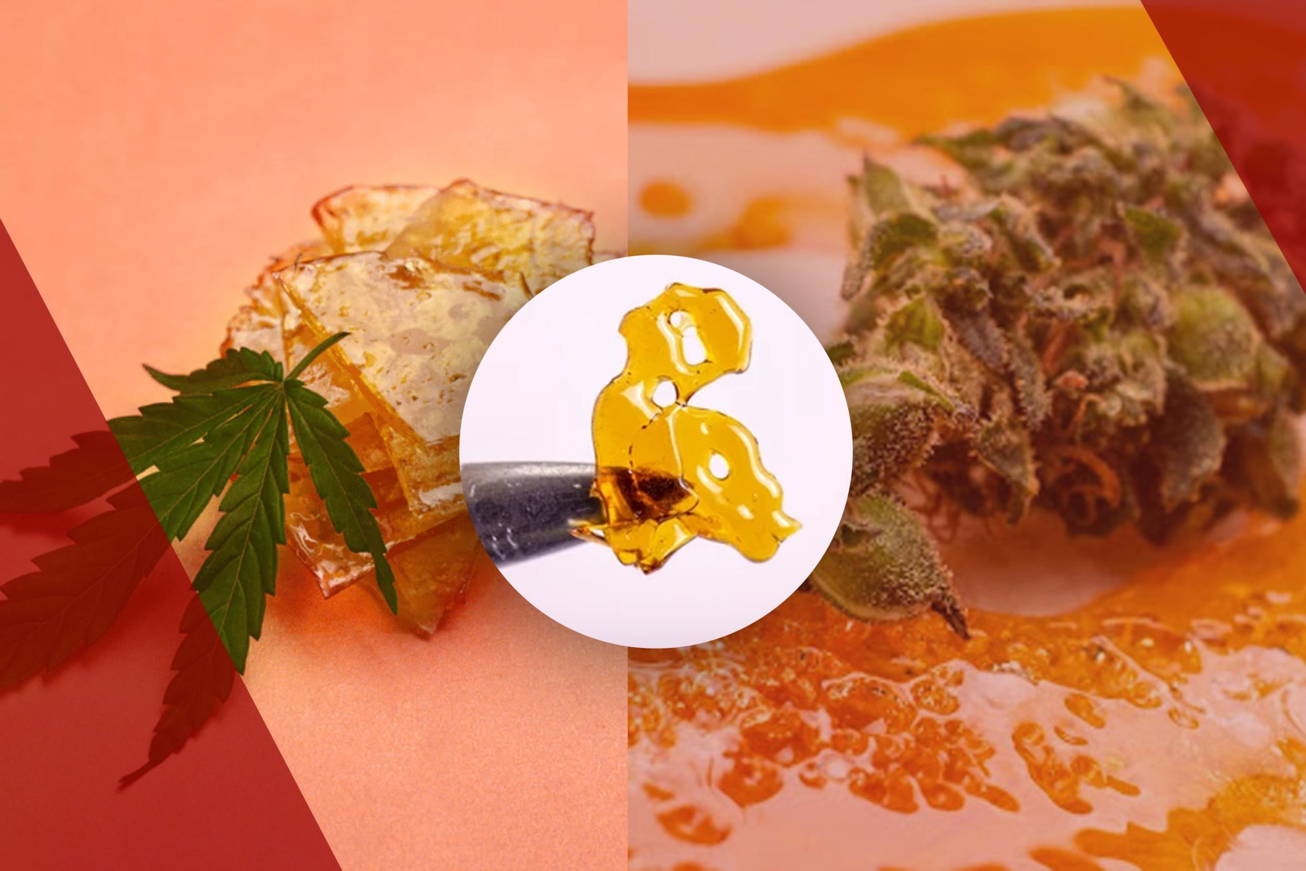Shatter Wax Dabs