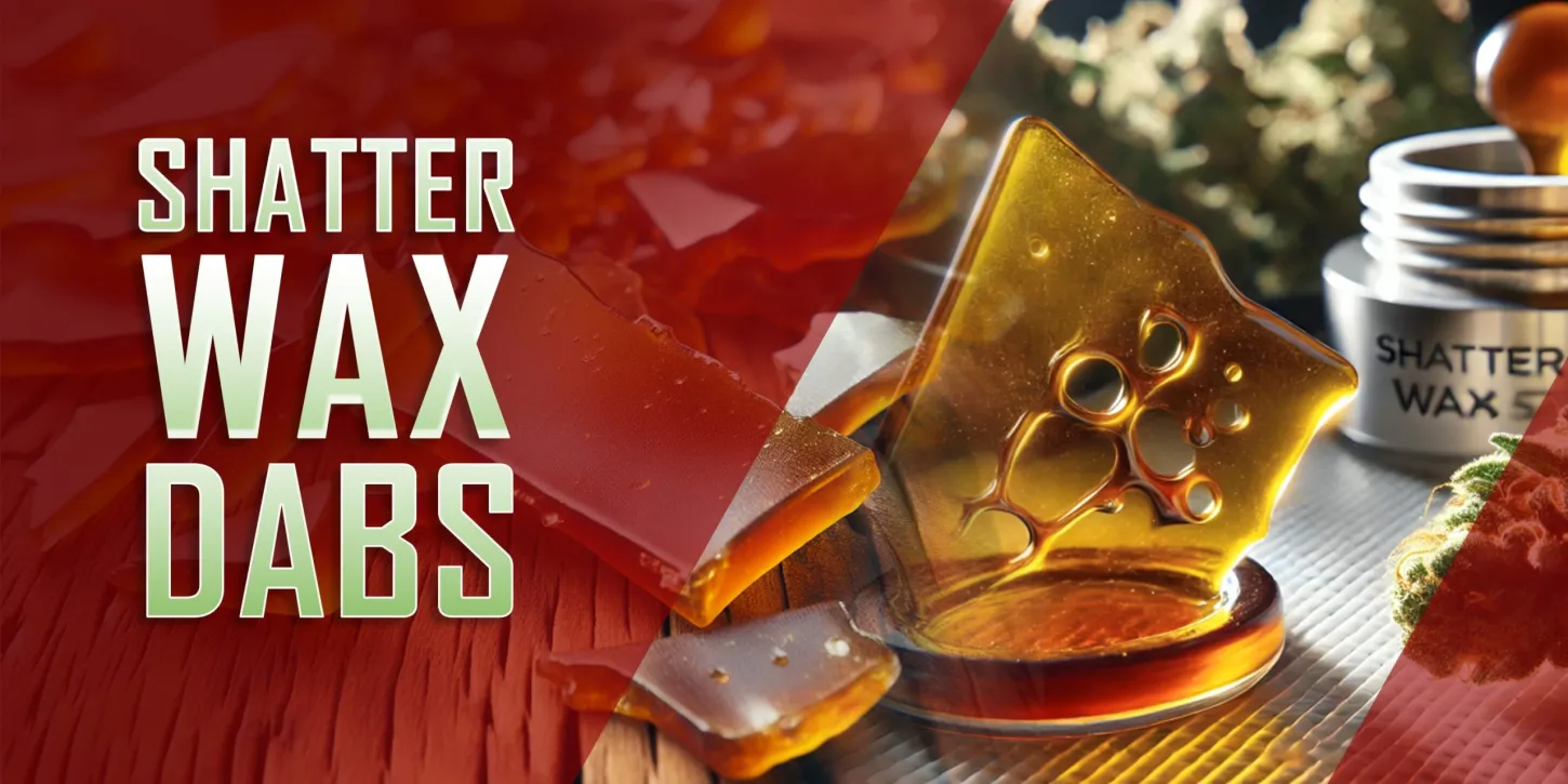Shatter Wax Dabs