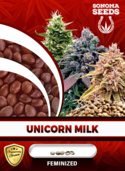 Unicorn Milk Strain Feminized