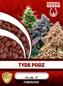 Tyde Podz Strain Feminized